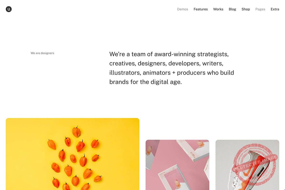 Portfolio WordPress Theme