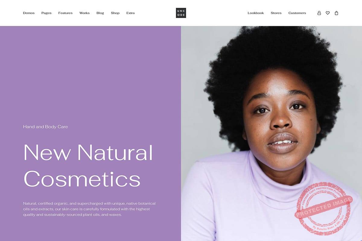 WooCommerce WordPress Theme